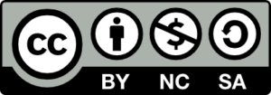 Creative Commons License. You must attribute the work. You cannot use the work for commercial gain. You can build upon and share the work.